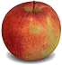apfel.gif (4565 Byte)
