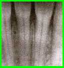 bett1.jpg (3332 Byte)