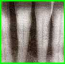 bett2.jpg (3449 Byte)